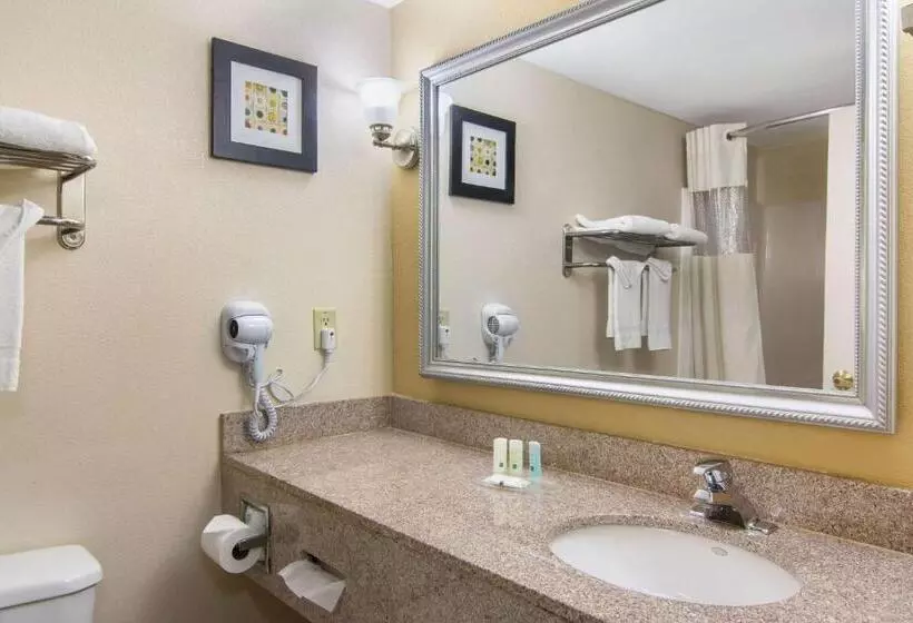 キングサイズベッドのスタンダードルーム, Quality Inn & Suites Union City   Atlanta South