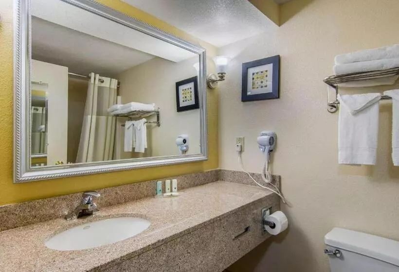 スタンダードルーム, Quality Inn & Suites Union City   Atlanta South