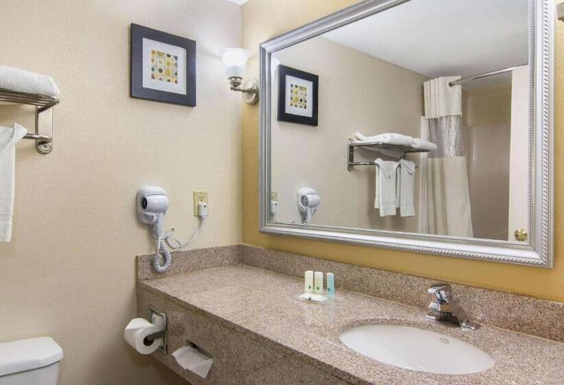 غرفة قياسية سرير كينج لذوى الإحتياجات الخاصة, Quality Inn & Suites Union City   Atlanta South