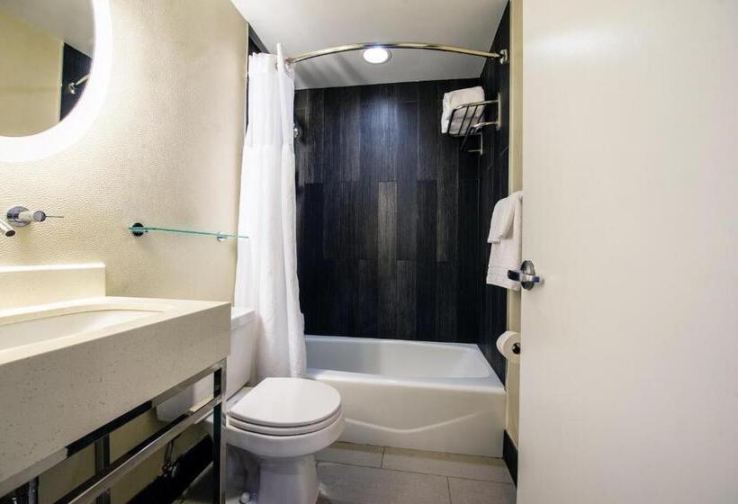 标准间, Solita Soho