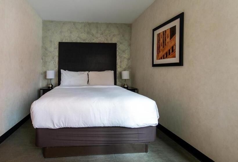 豪华房间, Solita Soho