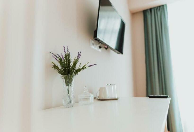 デラックスルーム, Pensiunea Green Villa