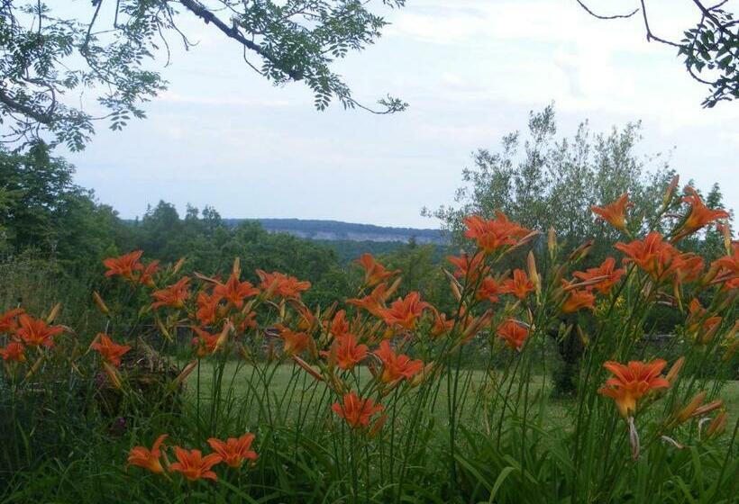 适合残疾人使用的标准间, Lou Papagai
