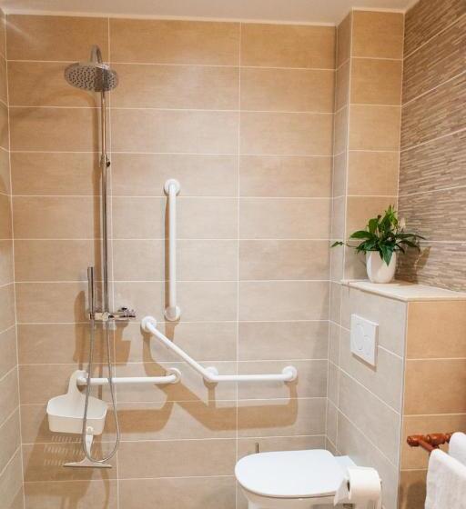 适合残疾人使用的标准间, Lou Papagai