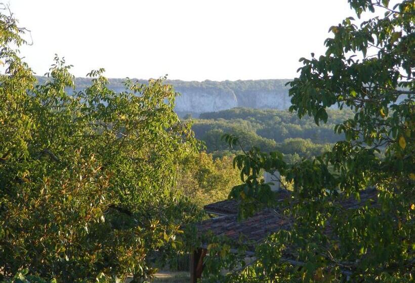 豪华家庭房间, Lou Papagai
