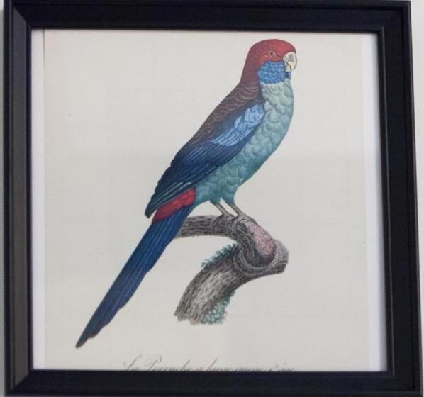 适合残疾人使用的标准间, Lou Papagai