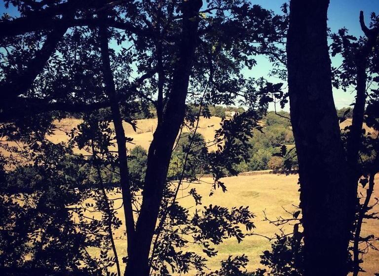 豪华家庭房间, Lou Papagai