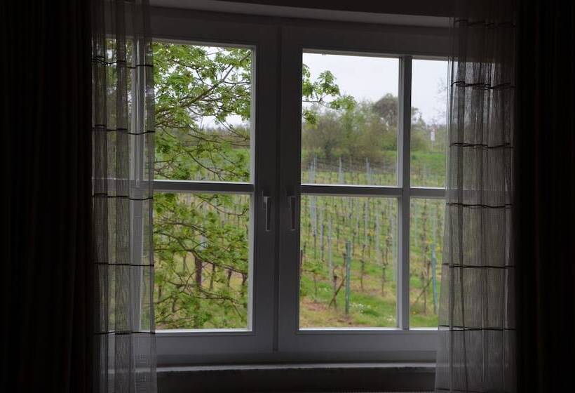 スタンダードルーム, Castell Hotel & Restaurant