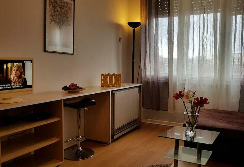 آپارتمان 1 خوابه, Downtown Belgrade Hostel And Apartments