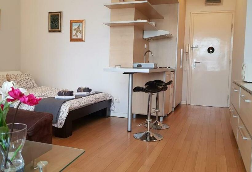آپارتمان 1 خوابه, Downtown Belgrade Hostel And Apartments