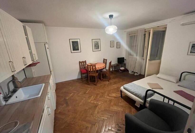 آپارتمان 1 خوابه با بالکن, Downtown Belgrade Hostel And Apartments