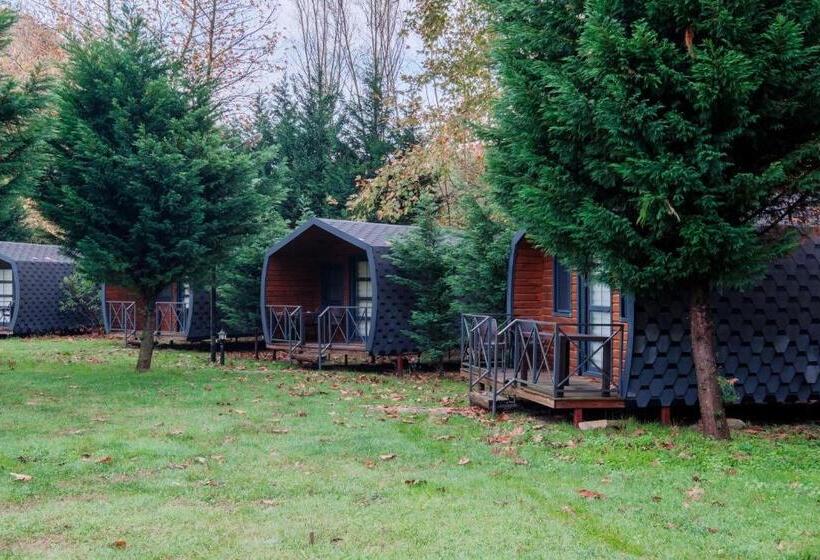 اتاق استاندارد اینتریور, Bagdat Resort