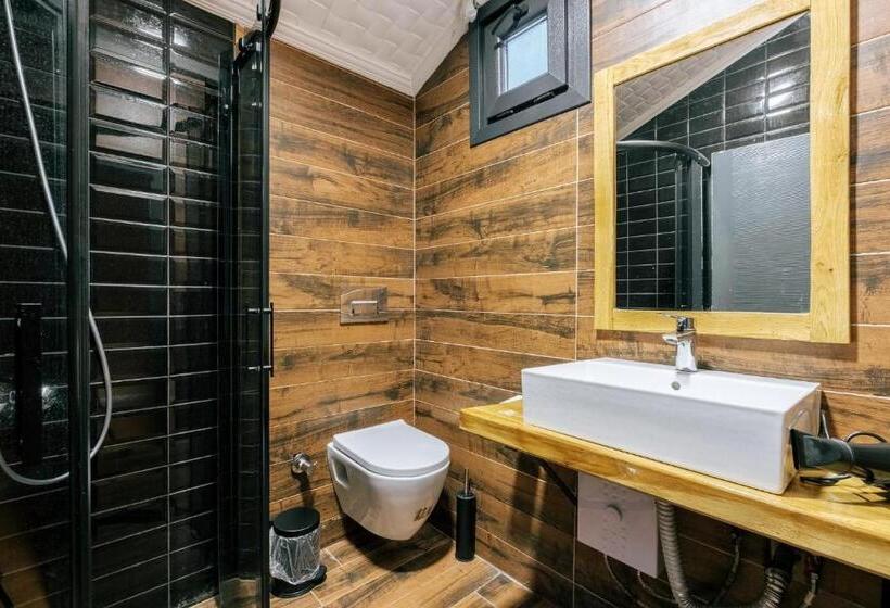 اتاق استاندارد اینتریور, Bagdat Resort