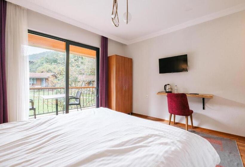 اتاق استاندارد با چشم‌انداز استخر, Bagdat Resort
