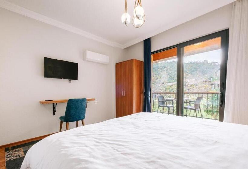 اتاق استاندارد با چشمانداز استخر, Bagdat Resort