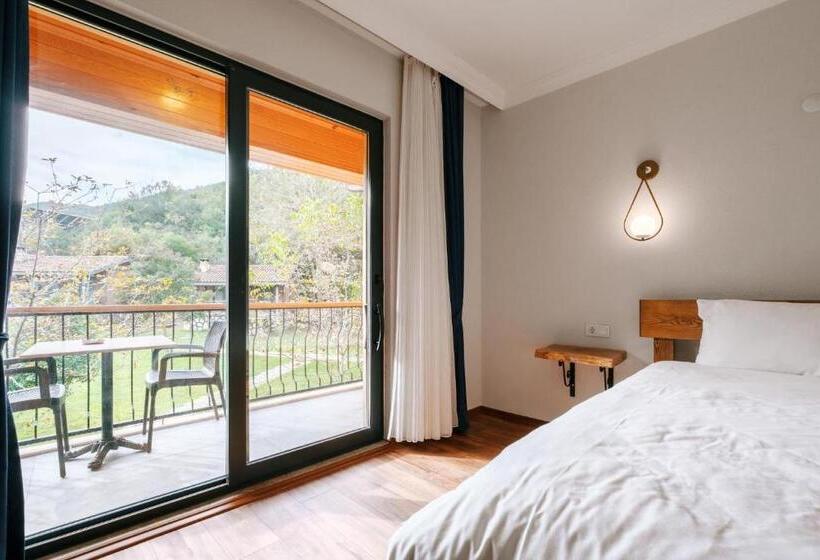 اتاق استاندارد با چشمانداز استخر, Bagdat Resort