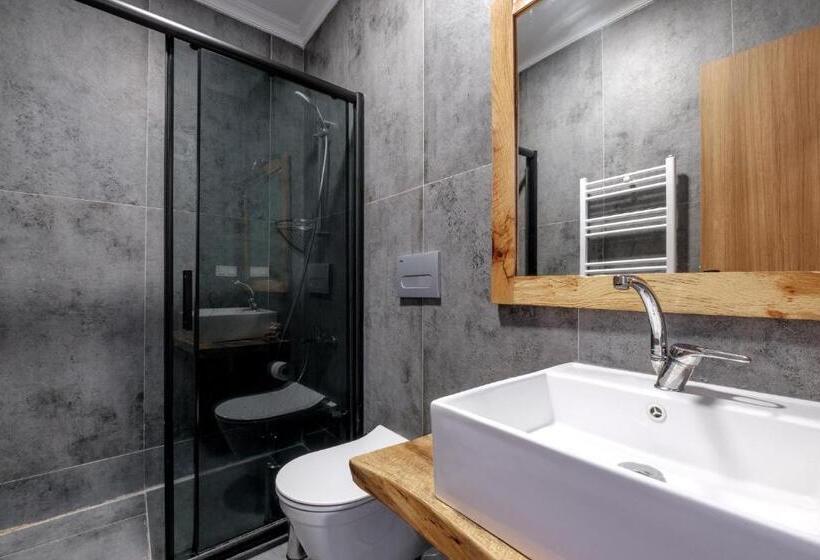 اتاق استاندارد با چشمانداز استخر, Bagdat Resort