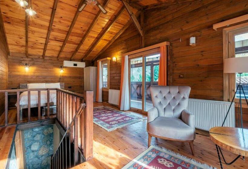 ویلای 1 خوابه با چشم‌انداز باغ, Bagdat Resort