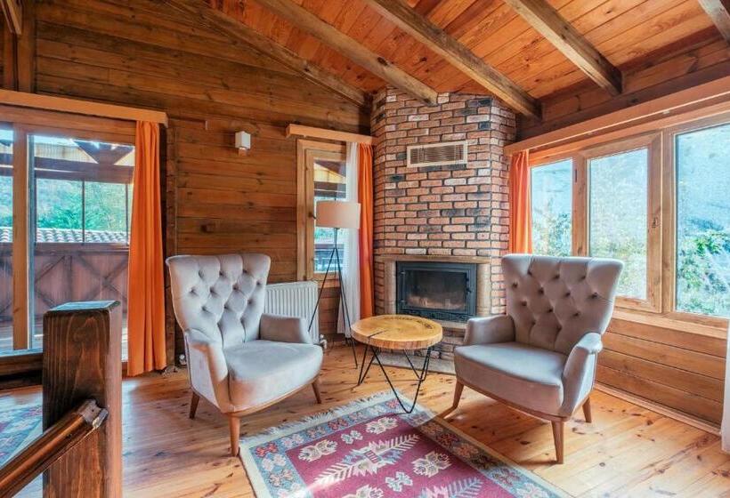 ویلای 1 خوابه با چشمانداز باغ, Bagdat Resort