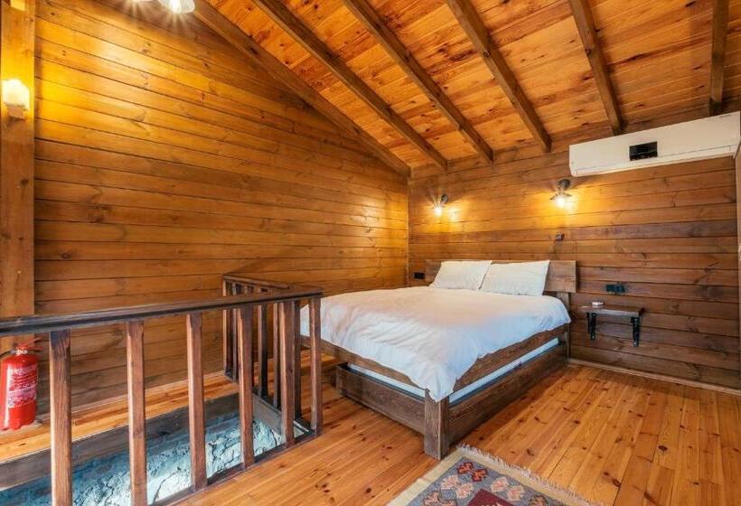 ویلای 1 خوابه با چشمانداز باغ, Bagdat Resort