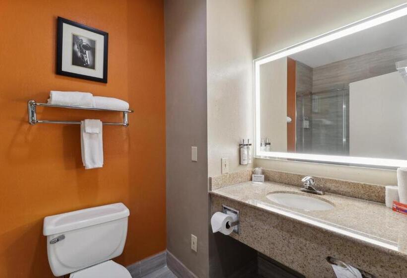 غرفة قياسية سرير كينج, Holiday Inn Hotel & Suites Slidell, An Ihg