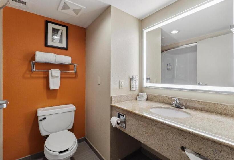 غرفة قياسية سرير كينج, Holiday Inn Hotel & Suites Slidell, An Ihg