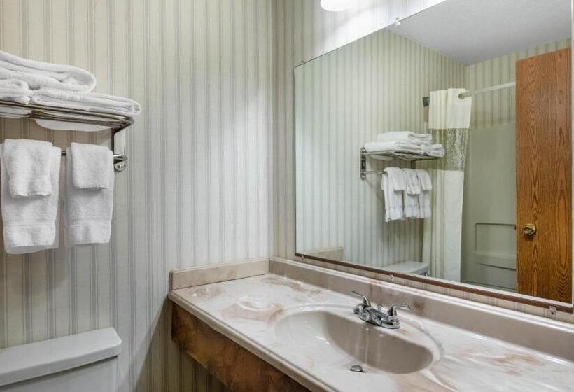 اتاق استاندارد, Baymont By Wyndham Spearfish