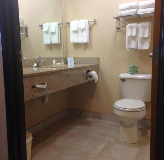 غرفة قياسية سرير كينج, Boarders Inn & Suites By Cobblestone Hotels   Shawano