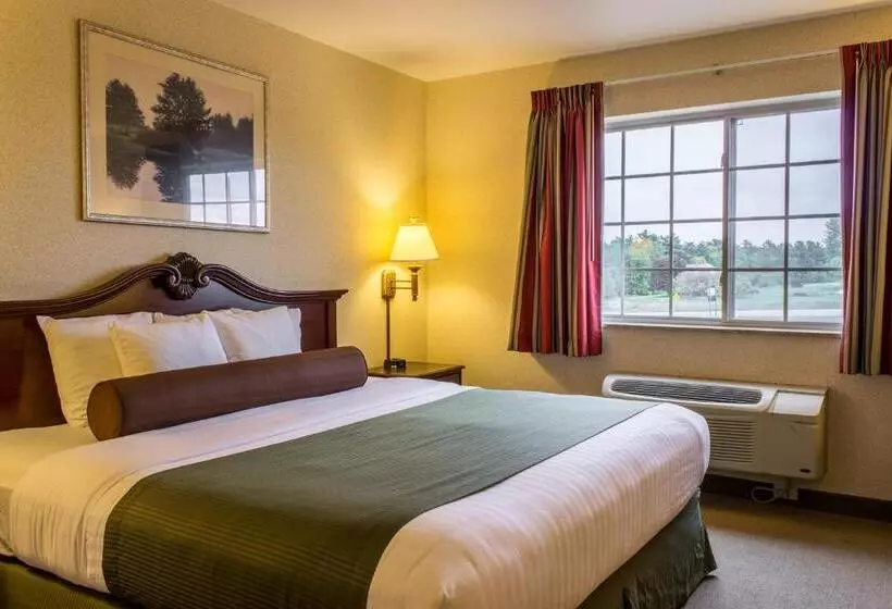 キングサイズベッドのスタンダードルーム, Boarders Inn & Suites By Cobblestone Hotels Shawano