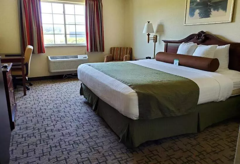 キングサイズベッドのスタンダードルーム, Boarders Inn & Suites By Cobblestone Hotels Shawano