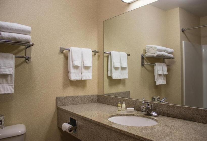 غرفة قياسية, Boarders Inn & Suites By Cobblestone Hotels   Shawano