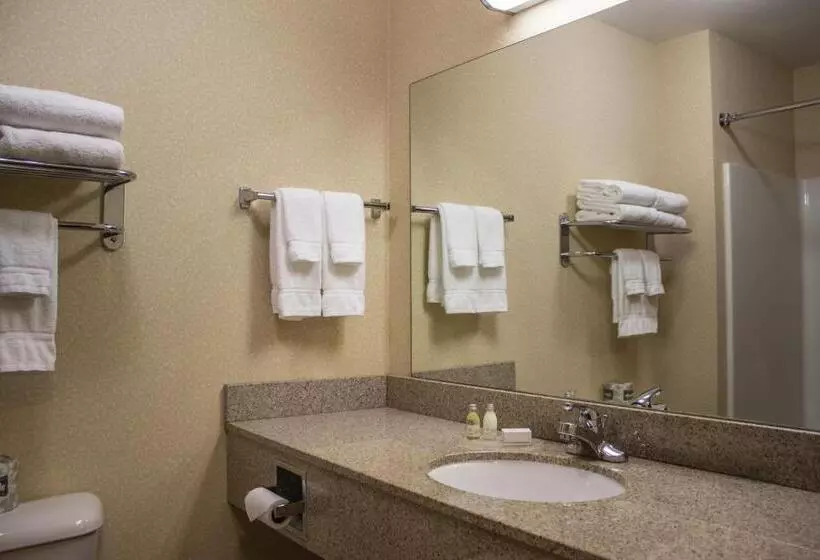 キングサイズベッドのスイートルーム, Boarders Inn & Suites By Cobblestone Hotels Shawano