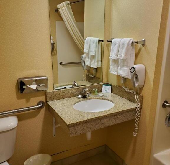 غرفة قياسية سرير كينج, Boarders Inn & Suites By Cobblestone Hotels   Shawano