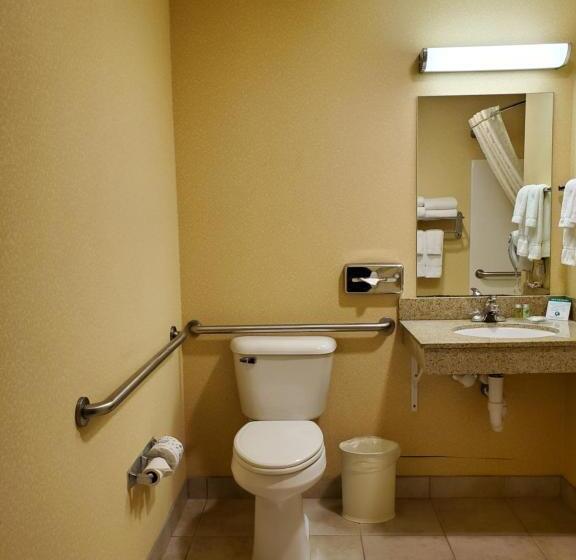 חדר סטנדרט עם מיטת קינג, Boarders Inn & Suites By Cobblestone Hotels   Shawano