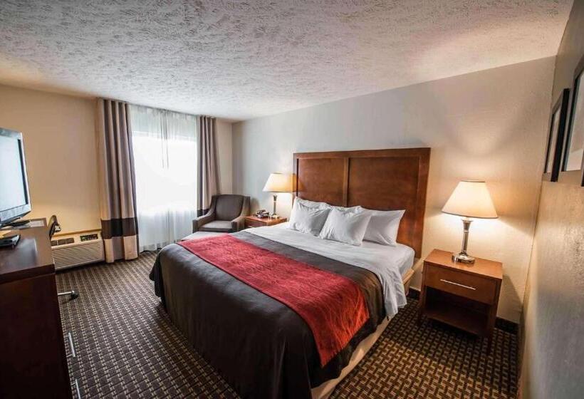 스탠다드 룸 킹사이즈 침대, Comfort Inn Atkinsmarion I81