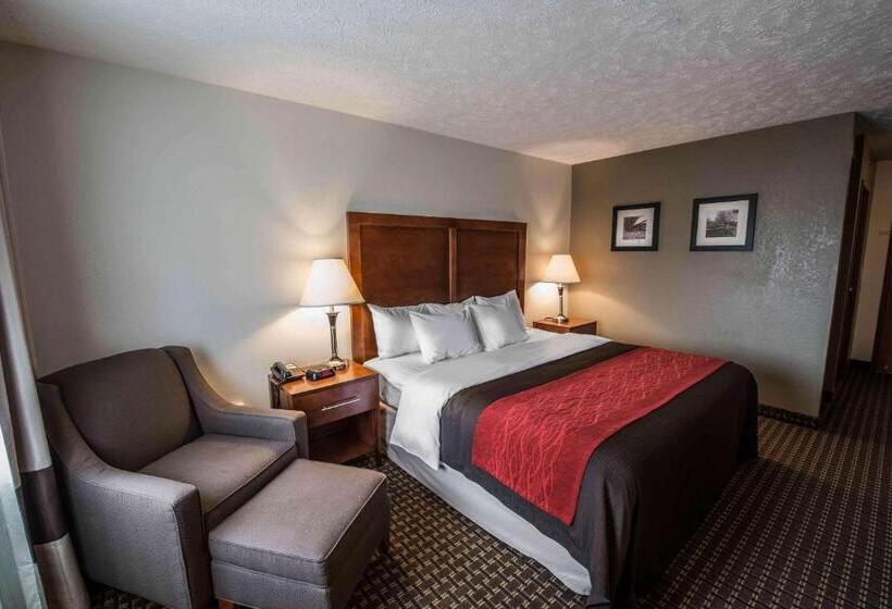 스탠다드 룸 킹사이즈 침대, Comfort Inn Atkinsmarion I81