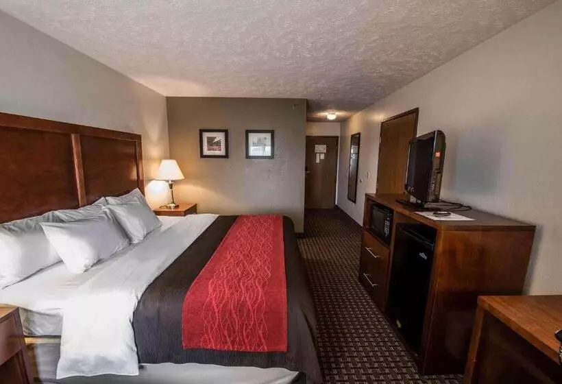 キングサイズベッドのスタンダードルーム, Comfort Inn Atkinsmarion I81