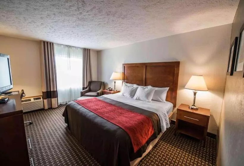 キングサイズベッドのスタンダードルーム, Comfort Inn Atkinsmarion I81