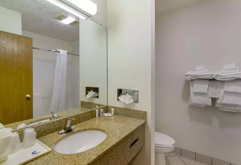 ２ダブルベッドのスタンダードルーム, Comfort Inn Atkinsmarion I81