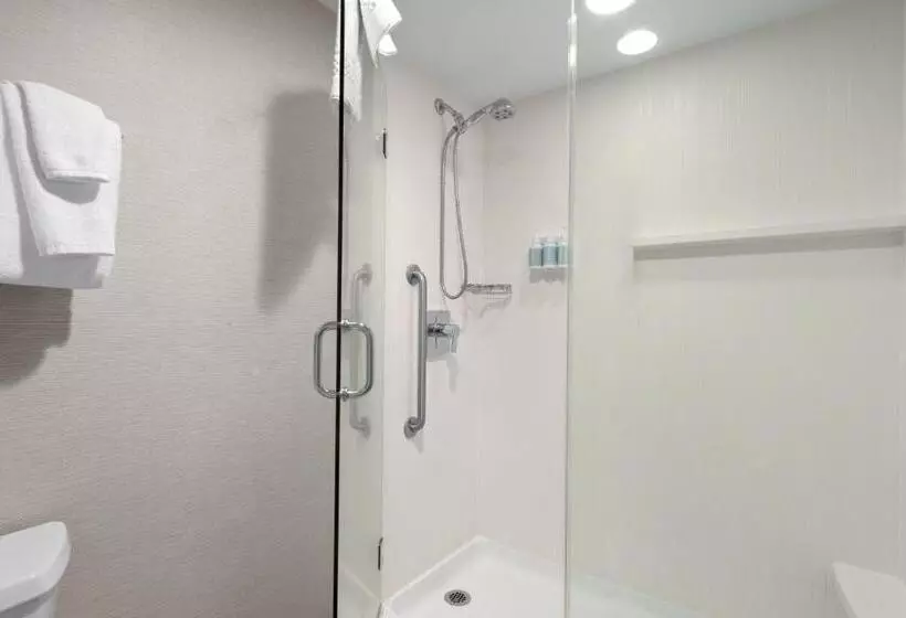 اتاق استاندارد با تخت بزرگ, Courtyard Boise Downtown