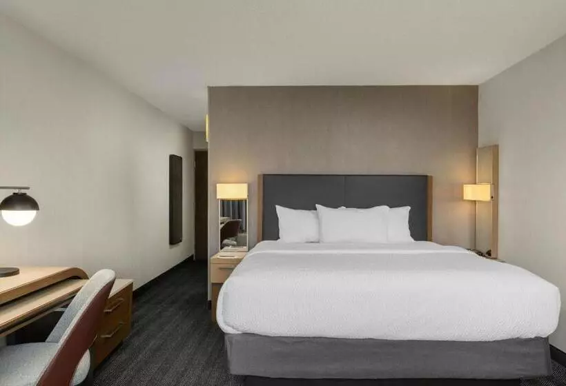 اتاق استاندارد با تخت بزرگ, Courtyard Boise Downtown