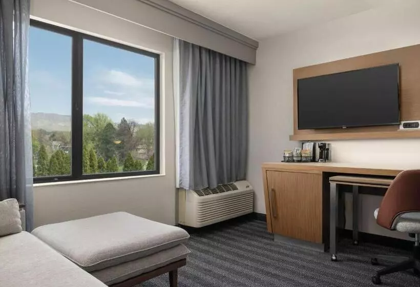 اتاق استاندارد با تخت بزرگ, Courtyard Boise Downtown