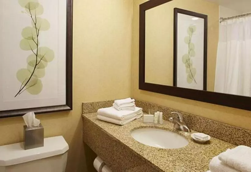 اتاق استاندارد با تخت بزرگ, Courtyard By Marriott Buffalo Amherst/university