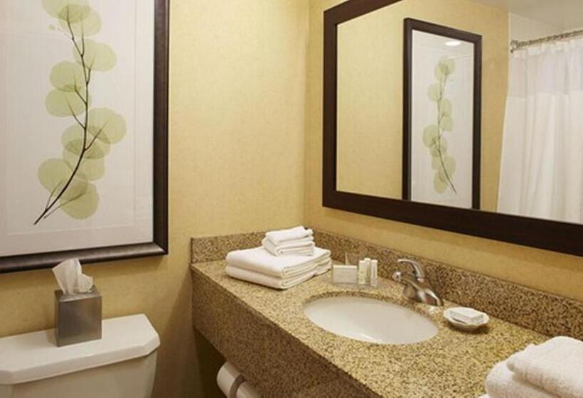 Номер Стандарт 2 Двуспальные Кровати, Courtyard By Marriott Buffalo Amherst/university