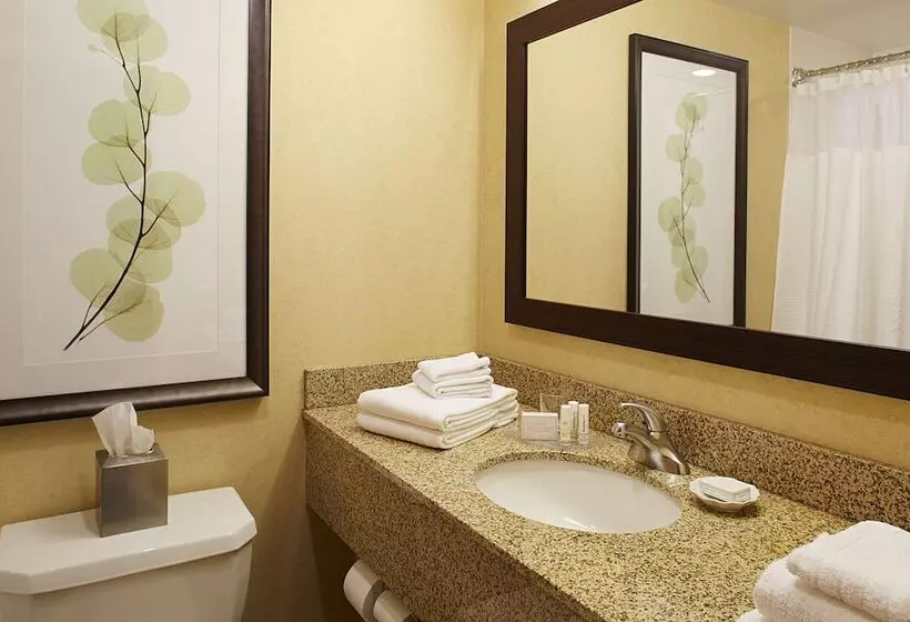 اتاق استاندارد با 2 تخت دوبل, Courtyard By Marriott Buffalo Amherst/university