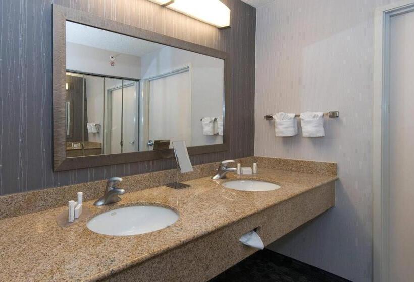 带大床的套房, Courtyard Bymarriott Albany