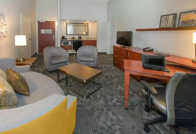 سوئیت با تخت بزرگ, Courtyard Bymarriott Albany