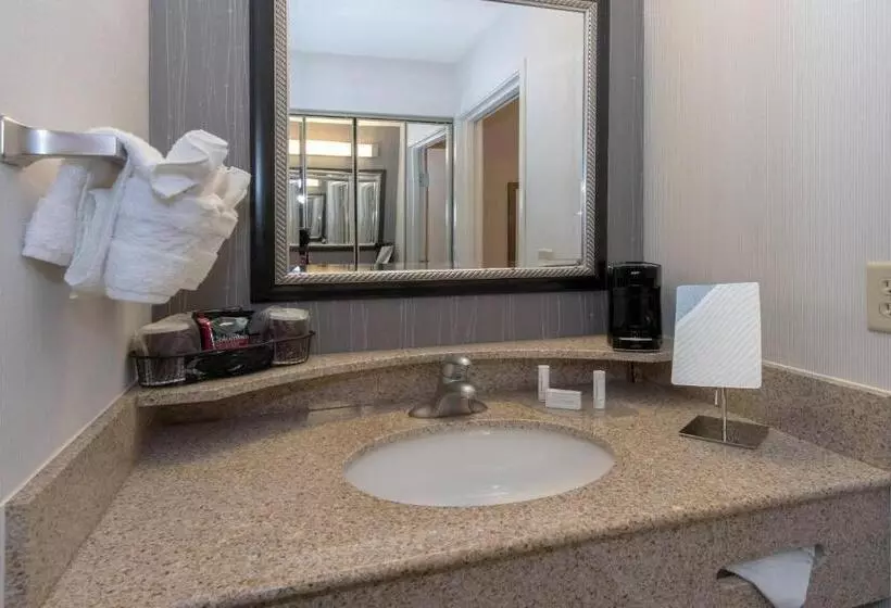 اتاق استاندارد با تخت بزرگ برای معلولان, Courtyard Bymarriott Albany