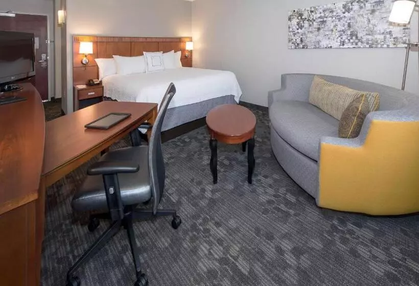 اتاق استاندارد با تخت بزرگ برای معلولان, Courtyard Bymarriott Albany