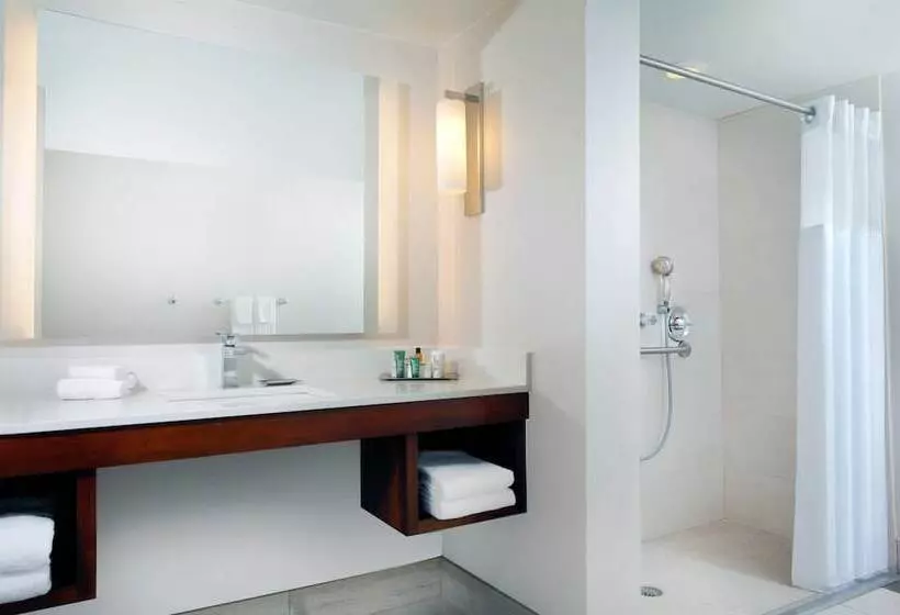 اتاق استاندارد برای معلولان, Hilton Naples
